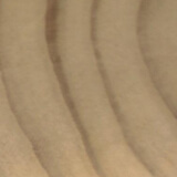 Accoya